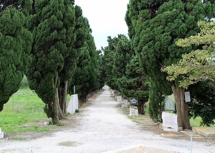 La Dimora Di Segesta 公寓 *